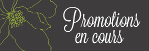 Promotions en cours